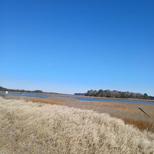 NO LONGER AVAIL..PLZ DO NOT BID OR ACCEPT OFFER..TY